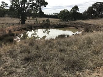 6428 Warrumbungle Way Coonabarabran NSW 2357 - Image 3
