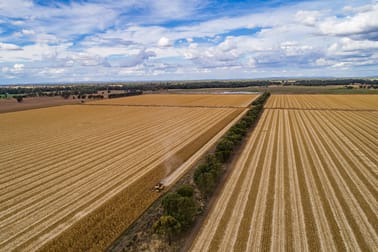 4010 Lachlan Valley Way Forbes NSW 2871 - Image 2