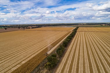 Lachlan Valley Way Forbes NSW 2871 - Image 2