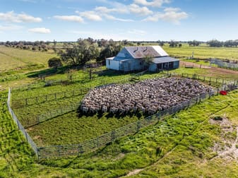 495 Burraboi Road Barham NSW 2732 - Image 3