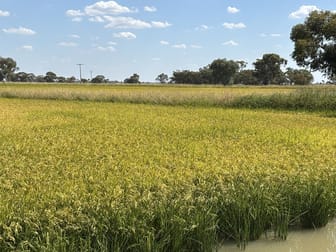 495 Burraboi Road Barham NSW 2732 - Image 1
