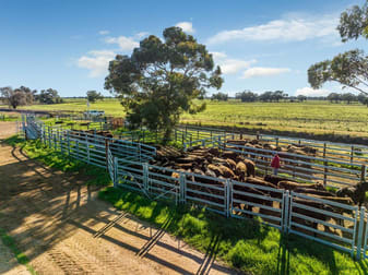 495 Burraboi Road Barham NSW 2732 - Image 2