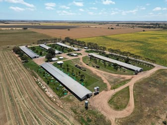 Click to view all images 1058 Mallala Road Korunye SA 5502 - Image 3