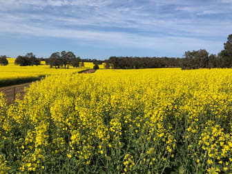 25 Nebrikinning Road Cuballing WA 6311 - Image 1