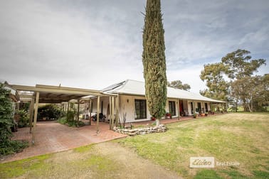 382 Cadgee Road Naracoorte SA 5271 - Image 2