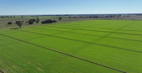 "EDDINGTON" Mayrung Rd Deniliquin NSW 2710 - Image 3