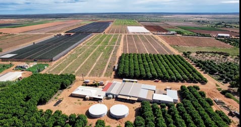 137 North River Road North Plantations WA 6701 - Image 1