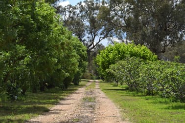 'Cucciata' 532 Curra Creek Road Curra Creek NSW 2820 - Image 2