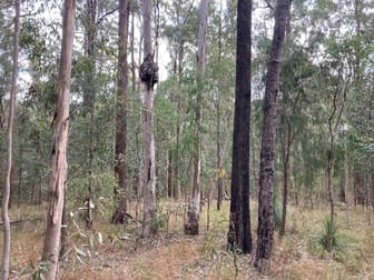 Off Mount Lindesay Hwy Rathdowney QLD 4287 - Image 2