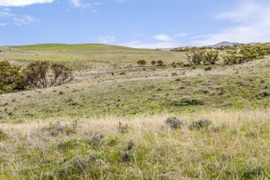 'Ted's' Arthur Road Orroroo SA 5431 - Image 1