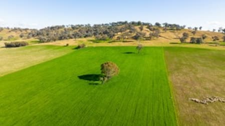 Part Granite Hill Road Jindera NSW 2642 - Image 2