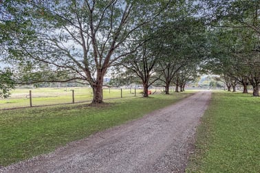 99 McGilchrist Road Eudlo QLD 4554 - Image 1