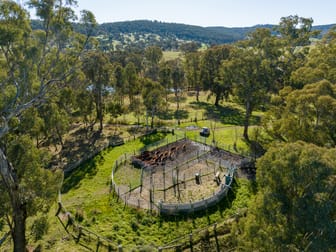 635 Grove Creek Road Triangle Flat NSW 2795 - Image 3