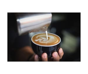 Cafe & Coffee Shop  business for sale in Noosa Hinterland Region QLD - Image 1