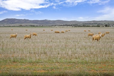 'Cambalee' Minburra Road Orroroo SA 5431 - Image 1