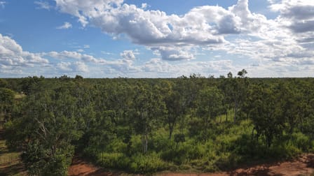 1259 Edith Farms Road Katherine NT 0850 - Image 3