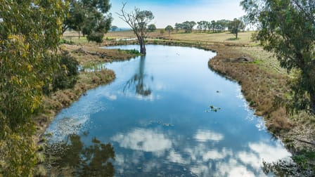 'Part Glenmoira'/524 Munyaplah Settlement Rd Alma Park NSW 2659 - Image 2