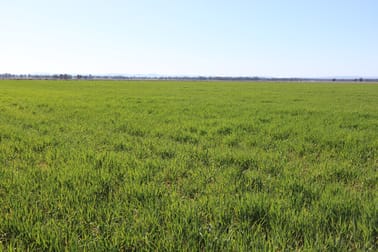 734 Adavale Lane Goonumbla NSW 2870 - Image 2