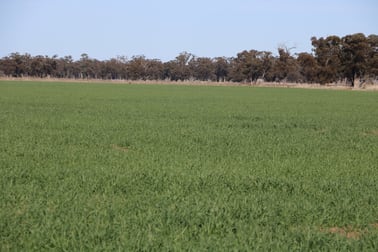 734 Adavale Lane Goonumbla NSW 2870 - Image 3