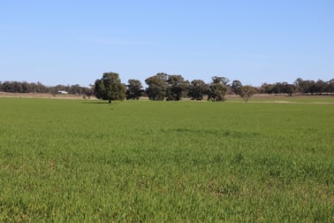 Back Trundle Road Parkes NSW 2870 - Image 1