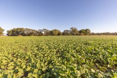 Click to view all images 2089 Konetta Road Lucindale SA 5272 - Image 1