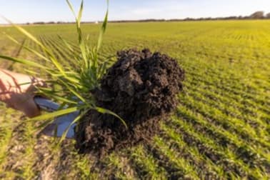 Click to view all images 2089 Konetta Road Lucindale SA 5272 - Image 2