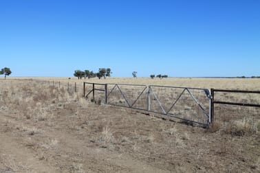 2930 Luguna Road Augathella QLD 4477 - Image 3