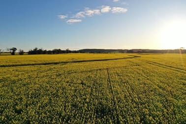 Springhill Road Cuballing WA 6311 - Image 3