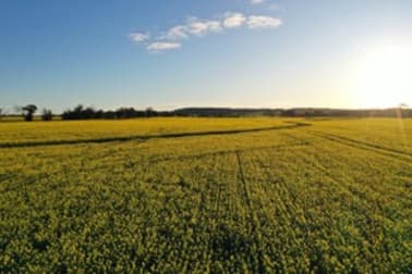 Click to view all images Springhill Road Cuballing WA 6311 - Image 3