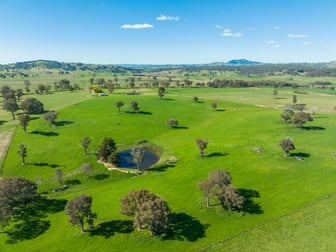 382 Snake Creek Road Garland NSW 2797 - Image 1