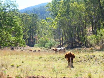 3340 Rocky River Road Rocky River NSW 2372 - Image 2