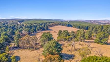 3383 GREAT WESTERN HIGHWAY Kirkconnell NSW 2795 - Image 2