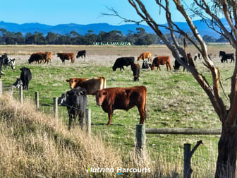 250 Pound Road E Yarram VIC 3971 - Image 3