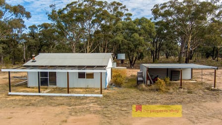 224 Stubbo Road Gulgong NSW 2852 - Image 3