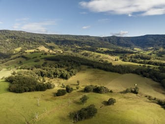 Lot 2 Burra Creek Road Jamberoo NSW 2533 - Image 3
