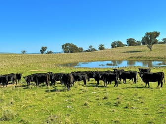 244 Fish River Road Crookwell NSW 2583 - Image 3