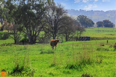 254 Punch Street Gundagai NSW 2722 - Image 1
