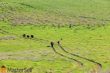254 Punch Street Gundagai NSW 2722 - Image 3