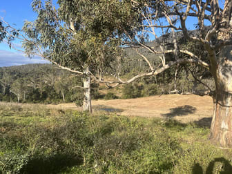 38/1118 Neringla Road Braidwood NSW 2622 - Image 2