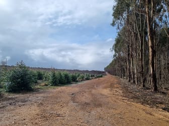 633 Dwalganup Road Mayanup WA 6244 - Image 2