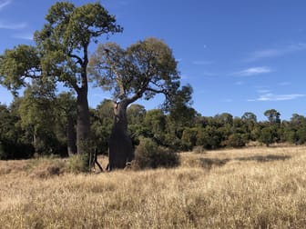 Bunya Mountains QLD 4405 - Image 1