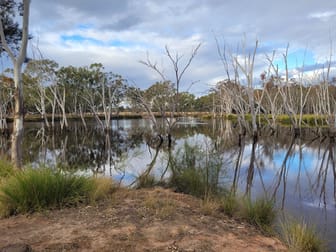 0 Bonnie Doon Road Leyburn QLD 4365 - Image 1