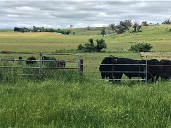 4397 Mitchell Highway Orange NSW 2800 - Image 1