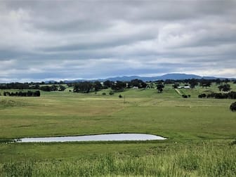 4397 Mitchell Highway Orange NSW 2800 - Image 3
