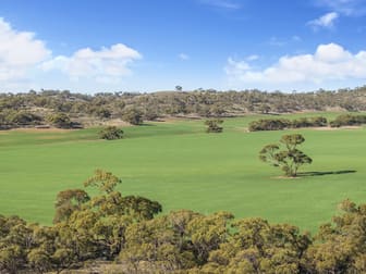 'Gum View Hills' Gorge Road Pekina SA 5431 - Image 2