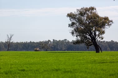 'Long Plain', 3848 Sturt Highway Bulgary NSW 2650 - Image 2