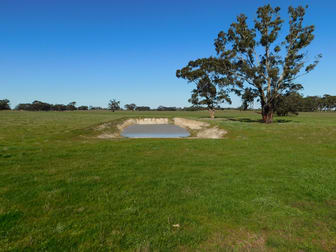 693 Bangham Road Bangham SA 5268 - Image 1