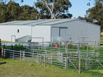 693 Bangham Road Bangham SA 5268 - Image 3