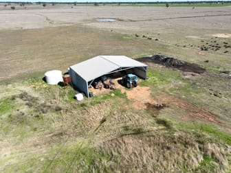 'West Tarrawonga' 56 Donnelly Road Eumungerie NSW 2822 - Image 3