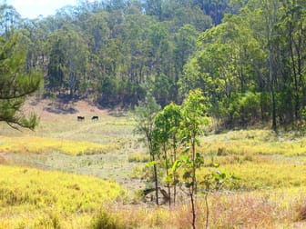 3377 Rocky River Road Rocky River NSW 2372 - Image 3